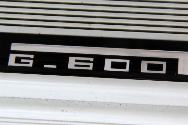 Fotografie {Geloso 600}