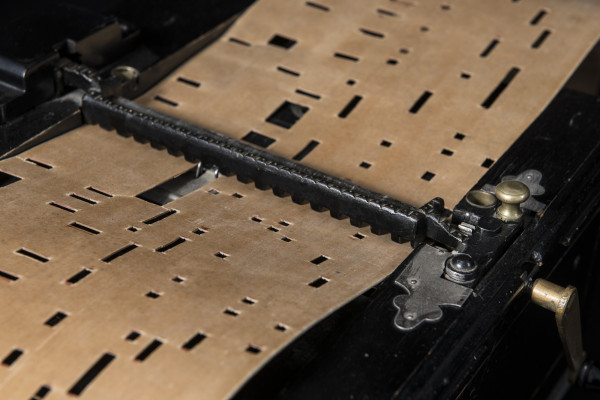 Fotografie {Seraphine Organetto}