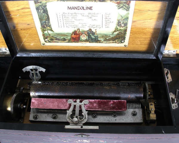 Fotografie {Mandoline}