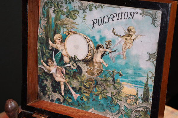 Fotografie {Kalliope}